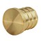 Apollo 3/4 in. Brass PEX Barb Plug APXP34 - alternate 4